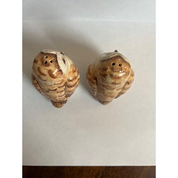 Vintage Ceramic Owl Salt & Pepper Shakers Hand-Painted Brown & Cream Collectible - Picture 4 of 5